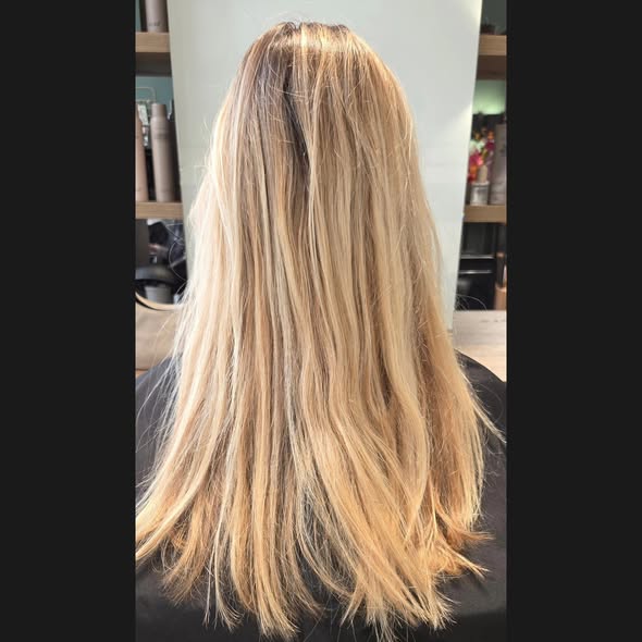 Highlights